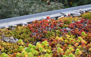 the cost of East Chaldon Or Chaldon Herring green roof installation