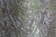 East Chaldon Or Chaldon Herring fibreglass roof work